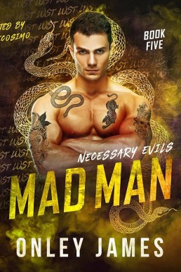 Mad Man (Necessary Evils #5)