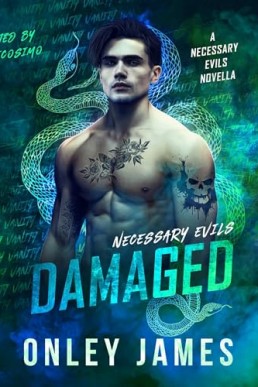 Damaged (Necessary Evils #3.5)