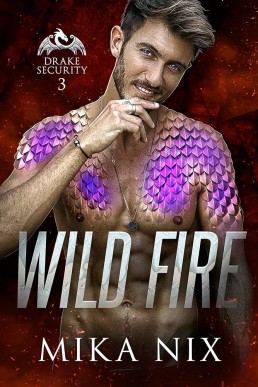 Wild Fire (Drake Security #3)