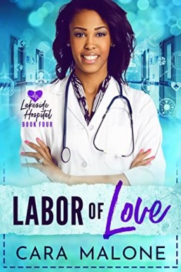 Labor of Love: A Lakeside Hospital Novel