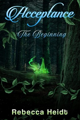 Acceptance: The Beginning