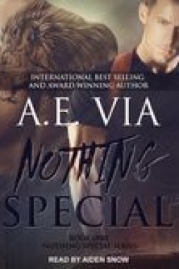 Nothing Special (Nothing Special #1)