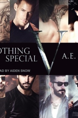 Nothing Special V (Nothing Special #5)