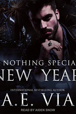 A Nothing Special New Year (Nothing Special #7.5)