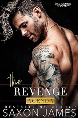 The Revenge Agenda (Accidental Love 3)
