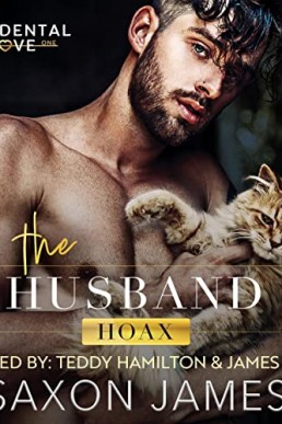 The Husband Hoax (Accidental Love #1)