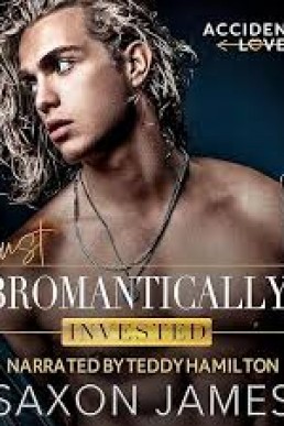 Just Bromantically Invested (Accidental Love #4)
