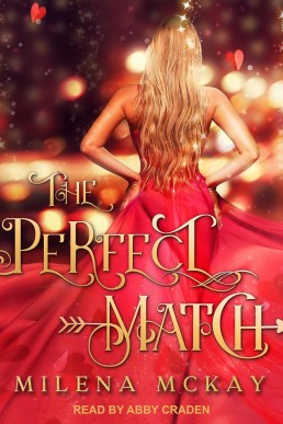 The Perfect Match: A Valentine's Day Novella