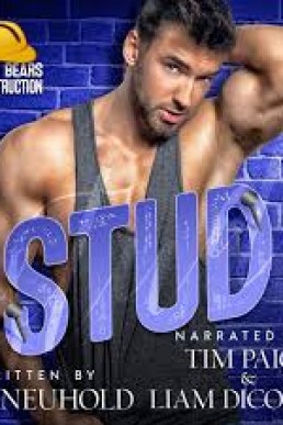 Stud (Four Bears Construction #5)