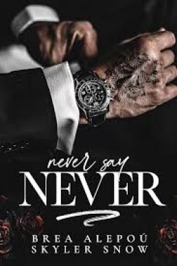 Never Say Never (Vitale Brothers #4)