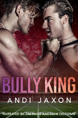 Bully King (Love Is Love #1)