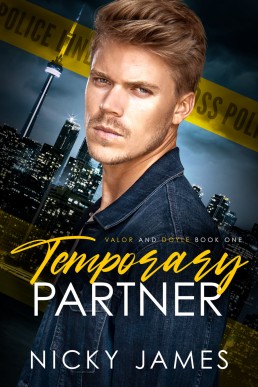 Temporary Partner (Valor and Doyle Mysteries #1)