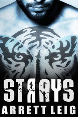 Strays (Urban Soul #2)